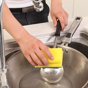 Sponges & Scourers
