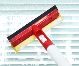 Window Cleaners